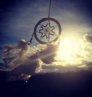 /album/galleria-foto-blog1/a7ys1dxxli1-png/