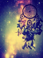 /album/galleria-foto-blog1/hl1aipxwqz-png/