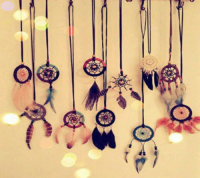 /album/galleria-foto-blog1/witua3zkuc-png/